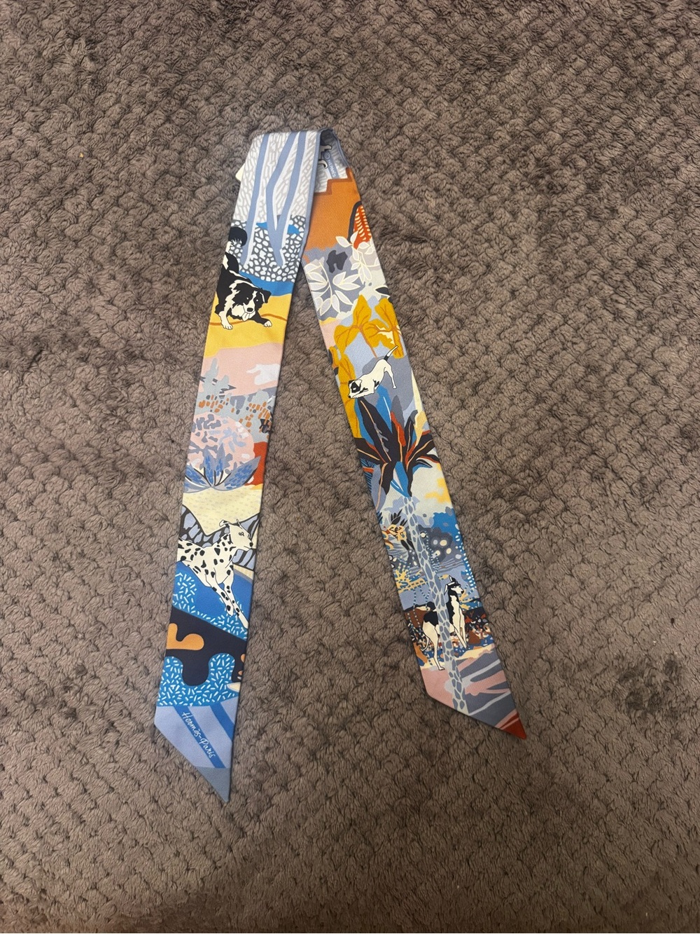 Hermès En Liberte Silk Twilly Scarf